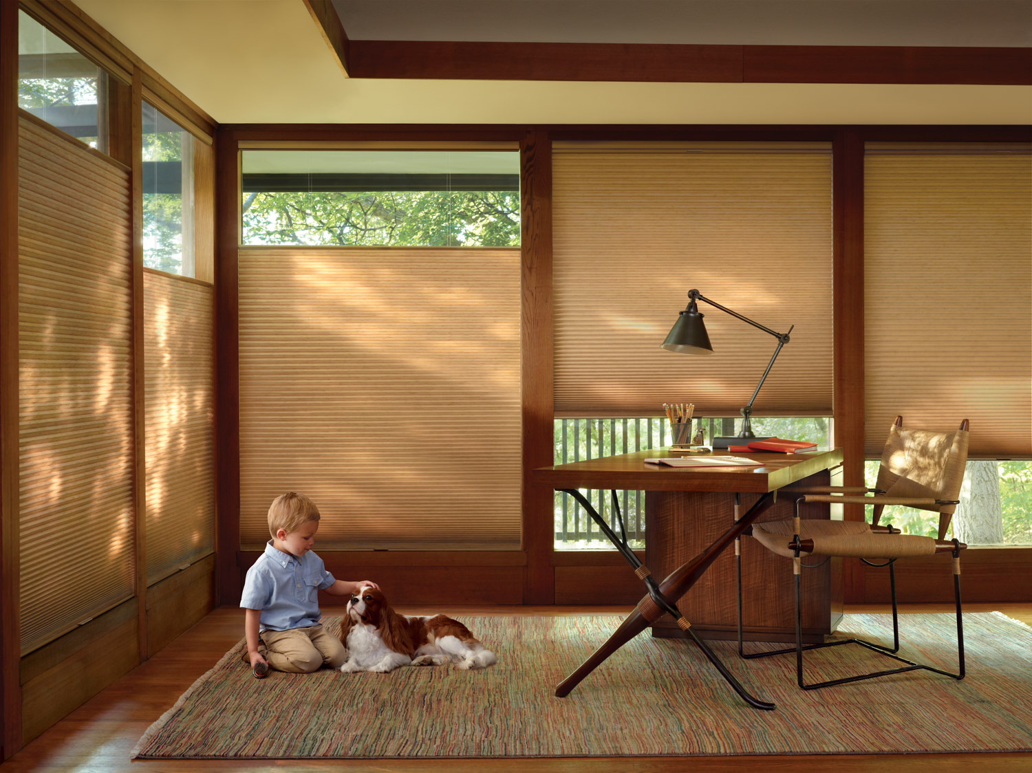 A boy and a dog sitting by a window, enjoying the view. Hunter Douglas Duette® Honeycomb Shades add elegance to the scene.
