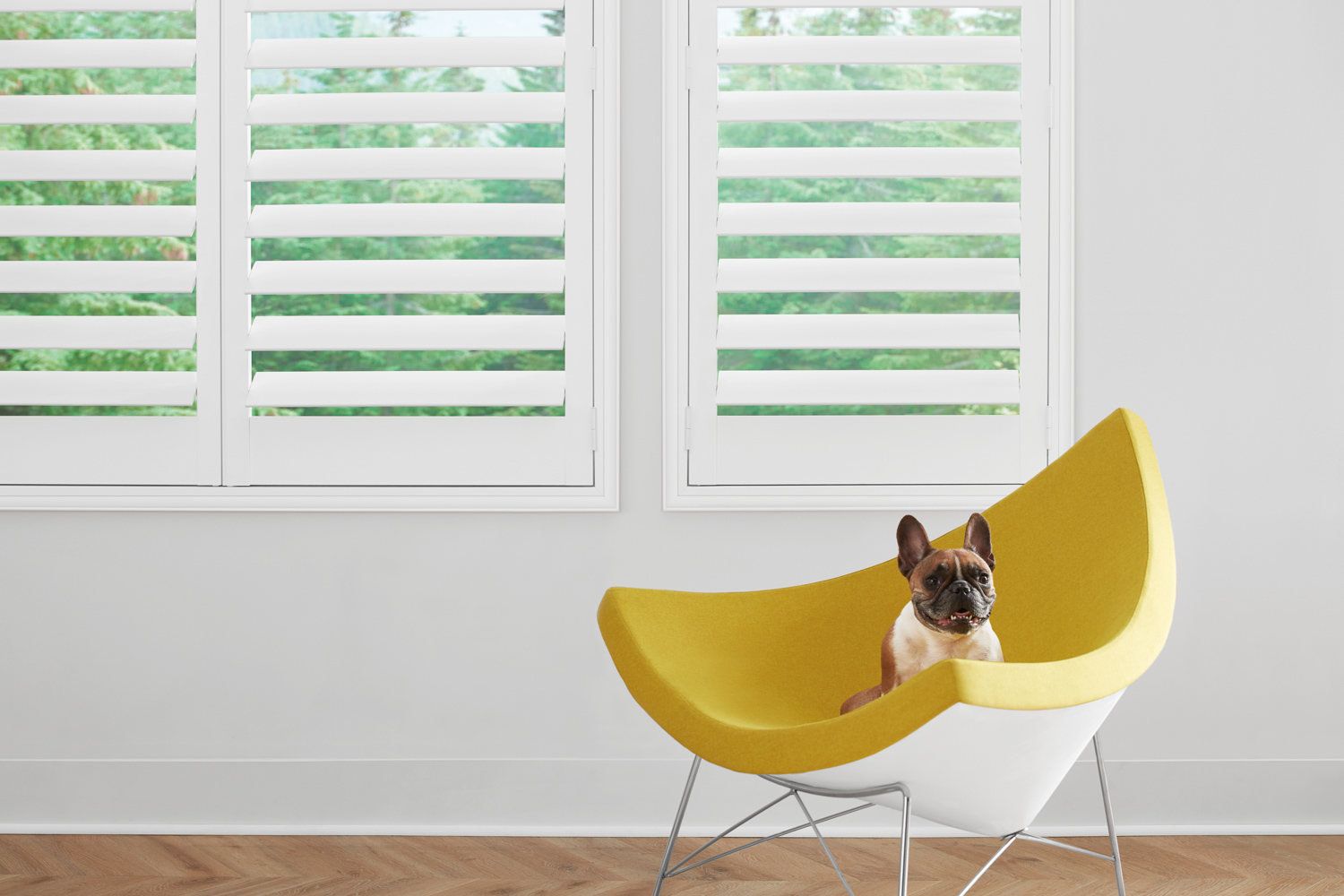 Hunter Douglas NewStyle® Hybrid Shutters provide a stylish solution for pet safety at home.