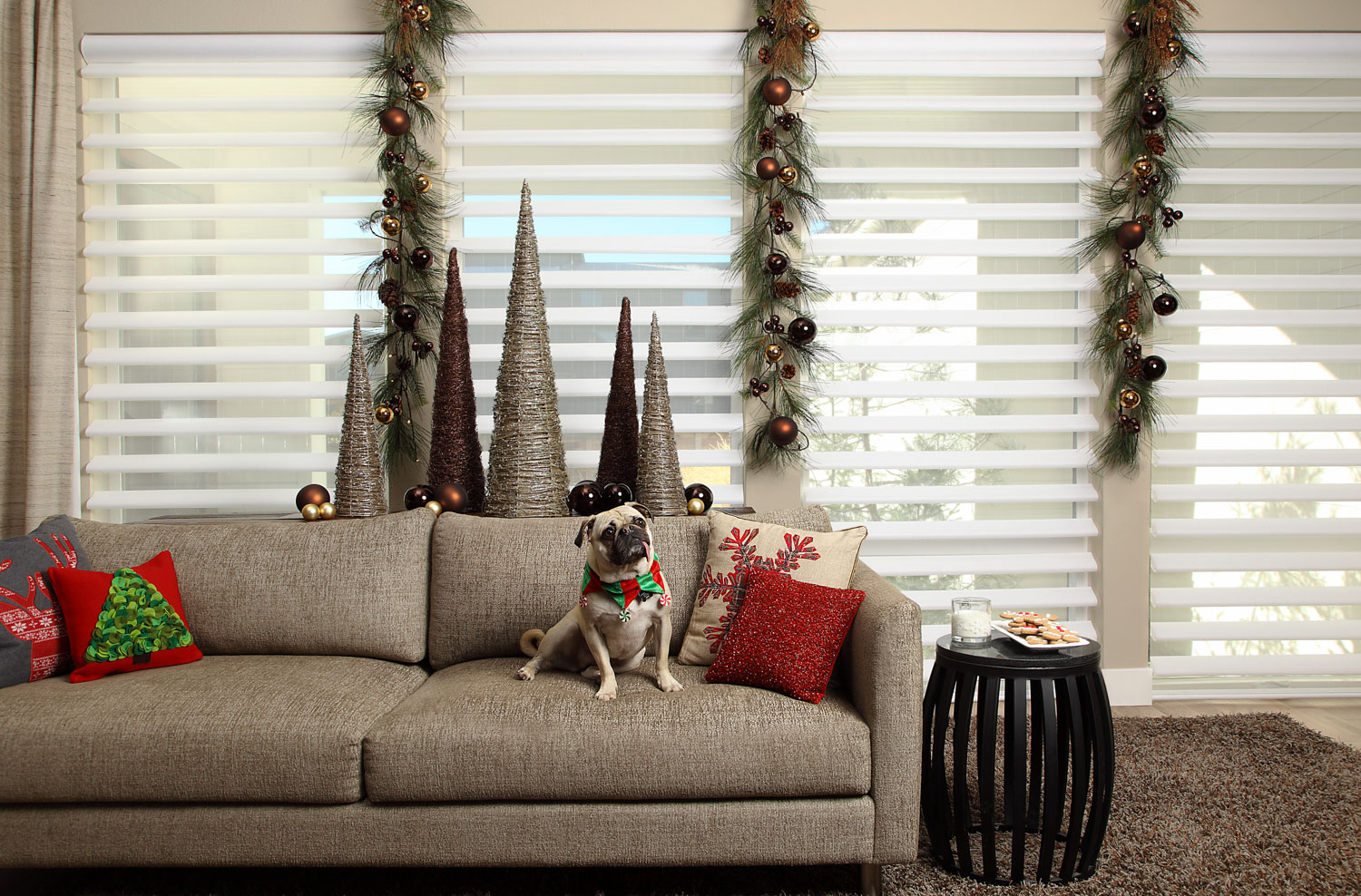 A dog sitting on a couch in front of a window, with Hunter Douglas Pirouette® Window Shades.