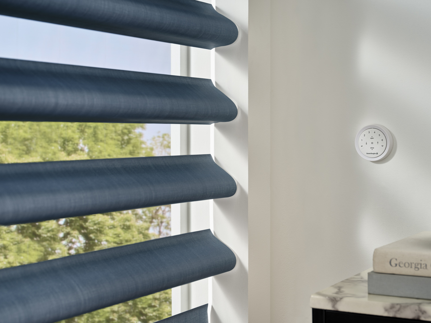 Hunter Douglas PowerView® Surface Remote mounted on a wall next to Hunter Douglas Pirouette® Sheer Shade.