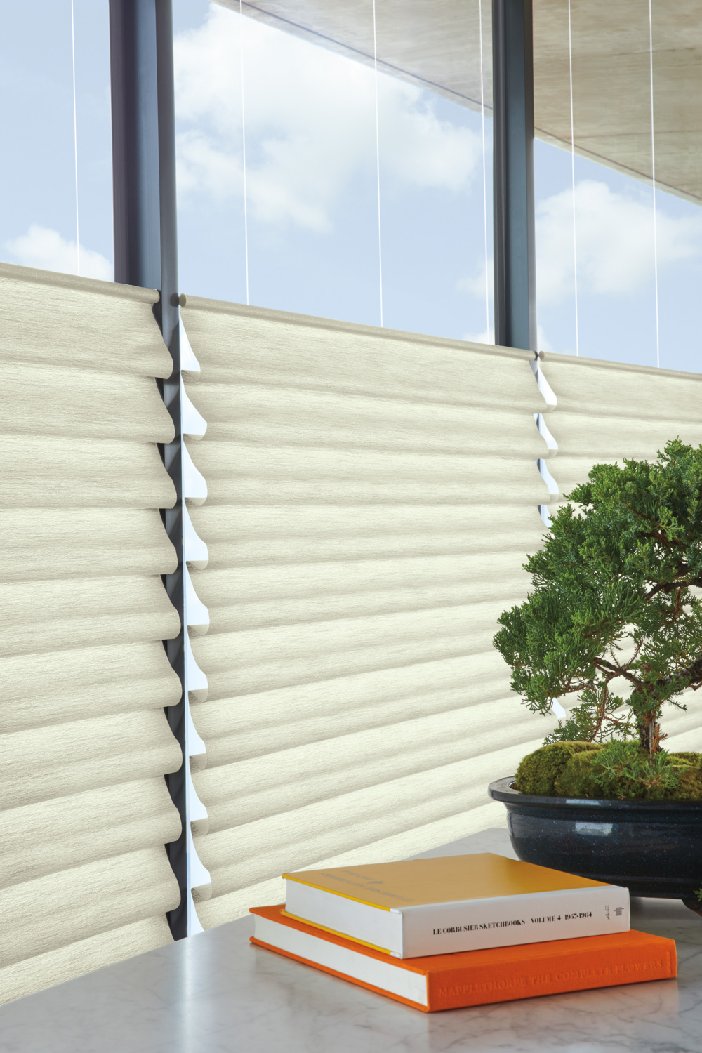 A small tree sits in front of a window with shades. The image showcases Hunter Douglas Vignette® Modern Roman Shades.